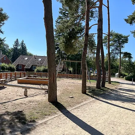 Papillon 10-4 Boltenhagen (Ostseebad)